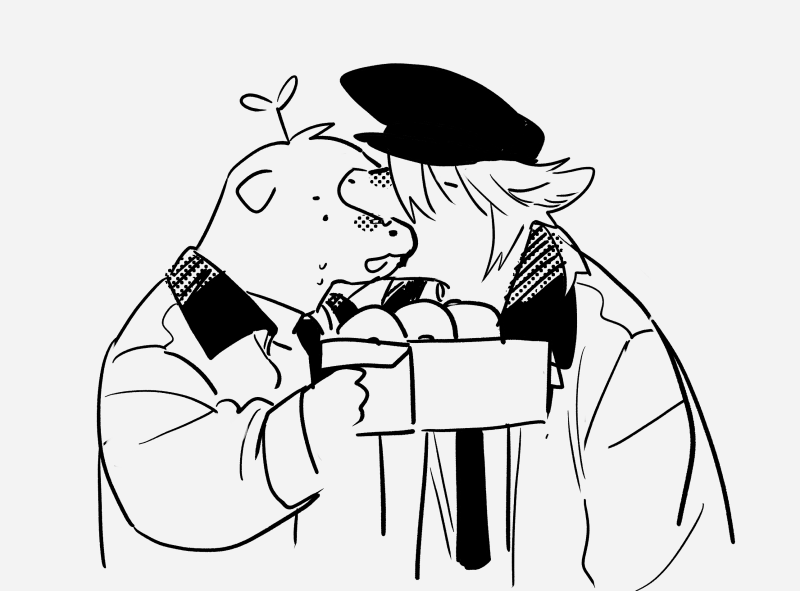 감자박이 tweet media