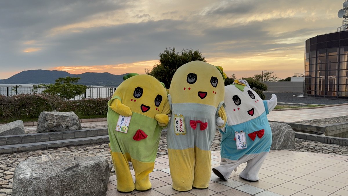 くま（感謝）/2 e-zakkaya_086095089