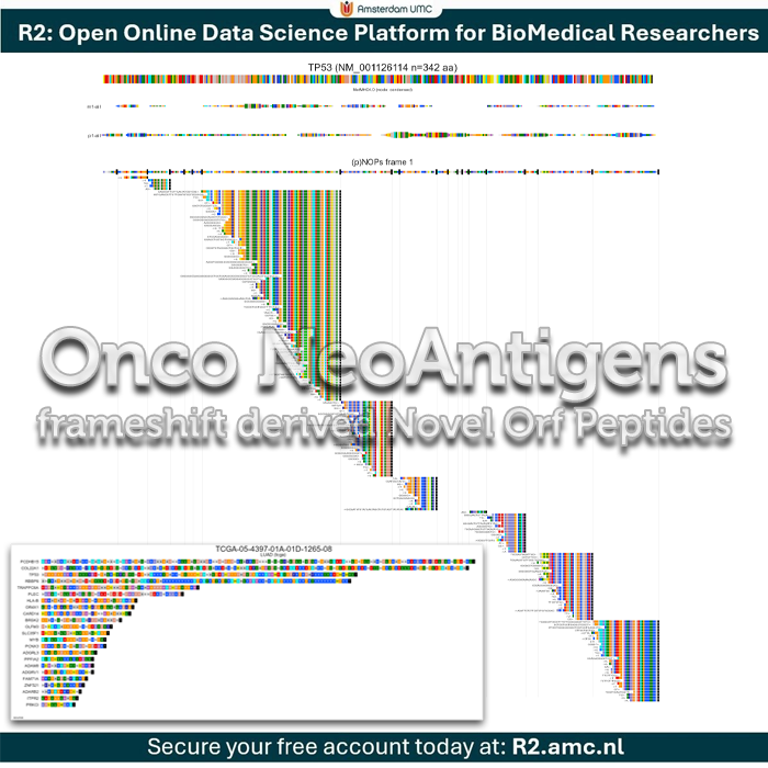 r2_platform's tweet image. Explore #frameshift derived onco #neoantigens in a dedicated datascope of R2platform.
This is just one of the many avenues R2 has to offer for scientists.
R2: open online nocode data science platform for biomedical researchers (r2.amc.nl)