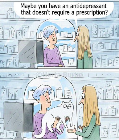 NarcissistBox's tweet image. #animals #pettherapy #antidepressant #mood #healing #sundayvibes