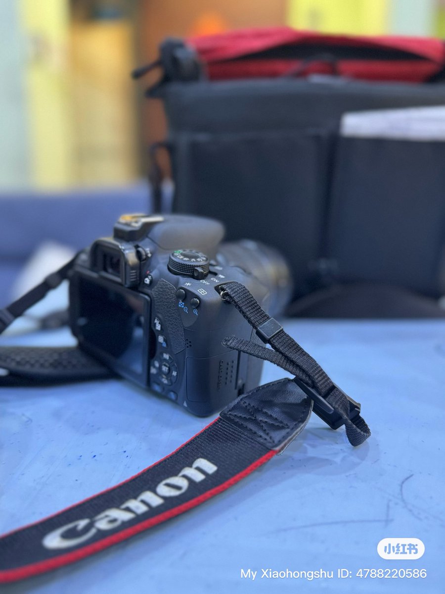 Counting down to my travel to see maple leaves 🍂