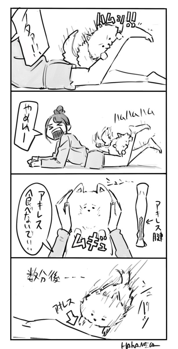 『雲海とアキレス』

#弓木奈於 #沈黙の金曜日