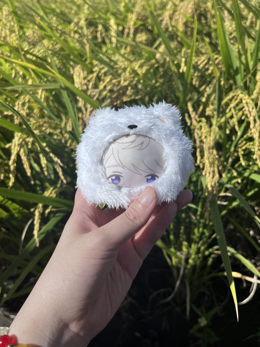 chalyunicorn's tweet photo. 這幾天出門天氣好到像是螢幕保護程式⋯
（手出沒真實照片注意⚠️） https://t.co/QTP5zmicsC