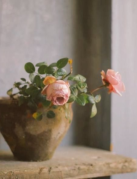 🌸🎶༻¨*:·.

youtu.be/1AC-jjmr7B0?si…