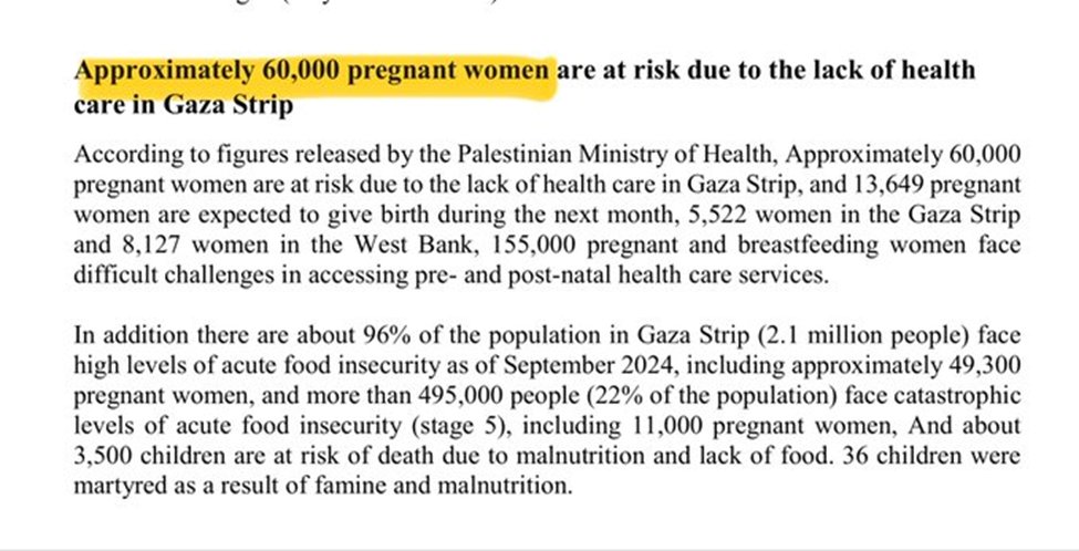 Even further evidence via detailed statistics from Palestinian Ministry of Health, noting 60,000 pregnant women as of Sept 2024. Amazingly, despite claims of “genocide” pregnancies &amp; births in Gaza matched pre-war levels. 7/