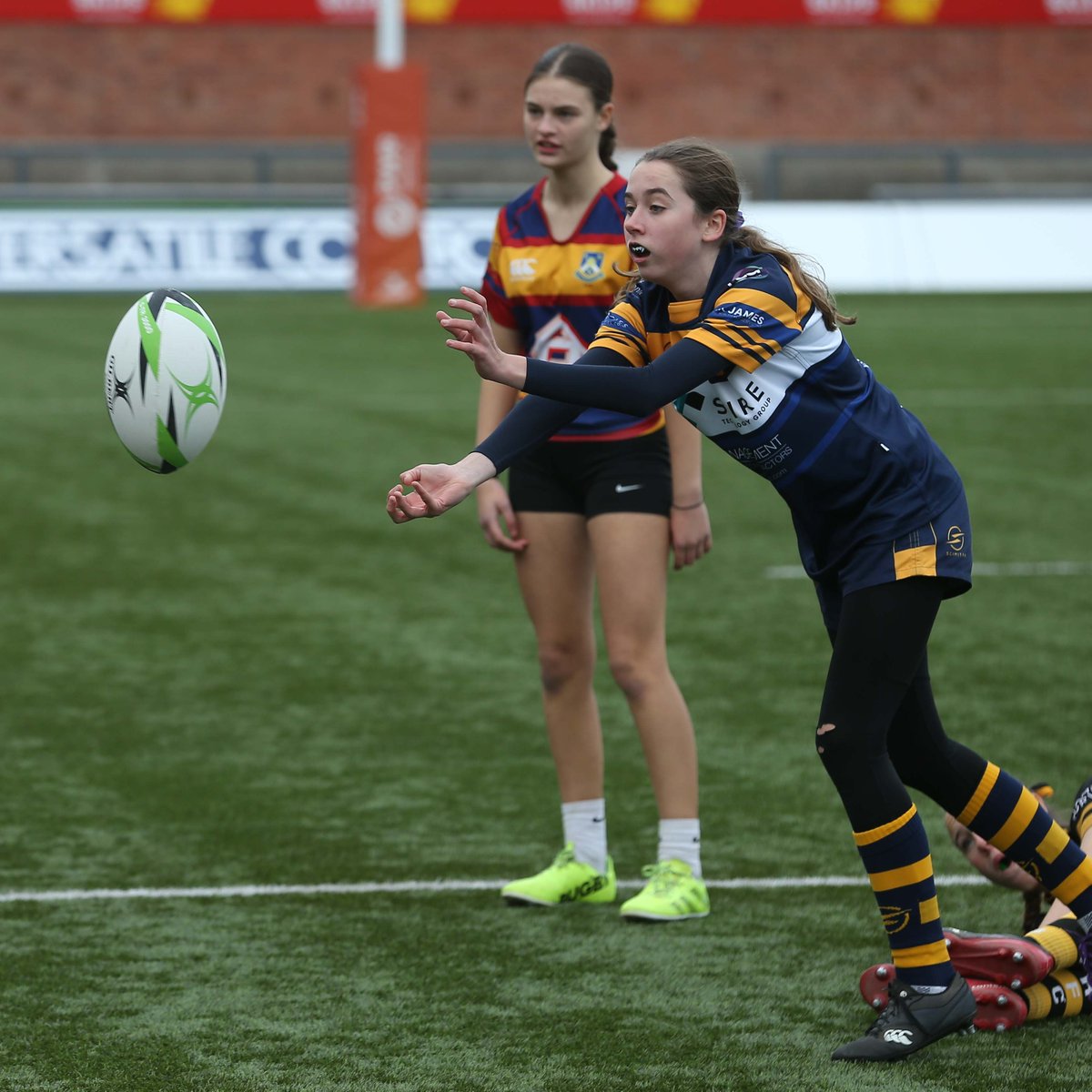 Gloucester Hartpury tweet media