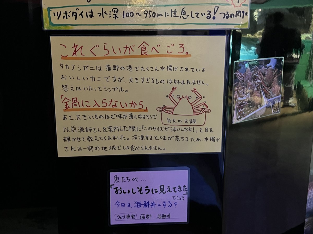 P*9様 WT216  1379 魚 置物 DAHL JEN P*9様 WT216 1379 魚 置物 DAHL JEN たㄑㄘゃƕ🐣 on X