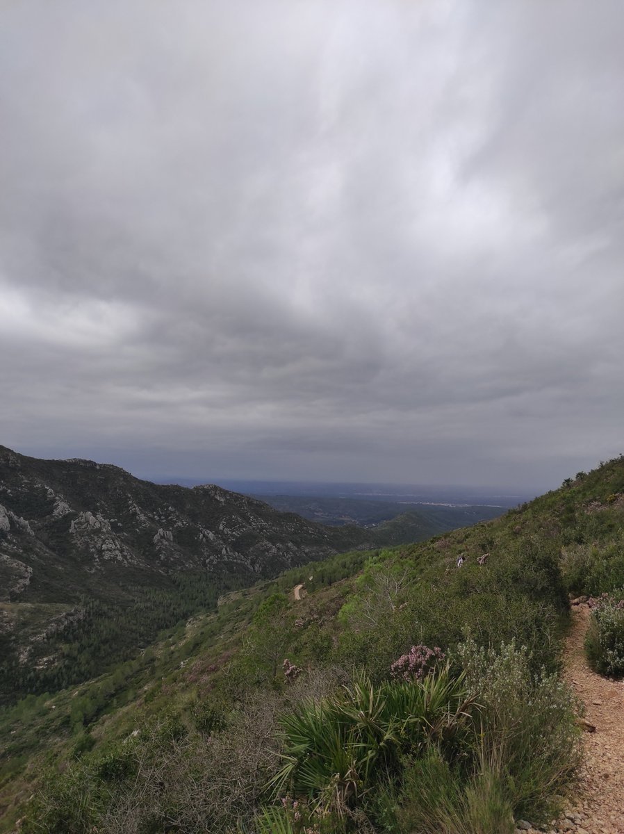 vic 🧛🏻‍♀️ tweet media