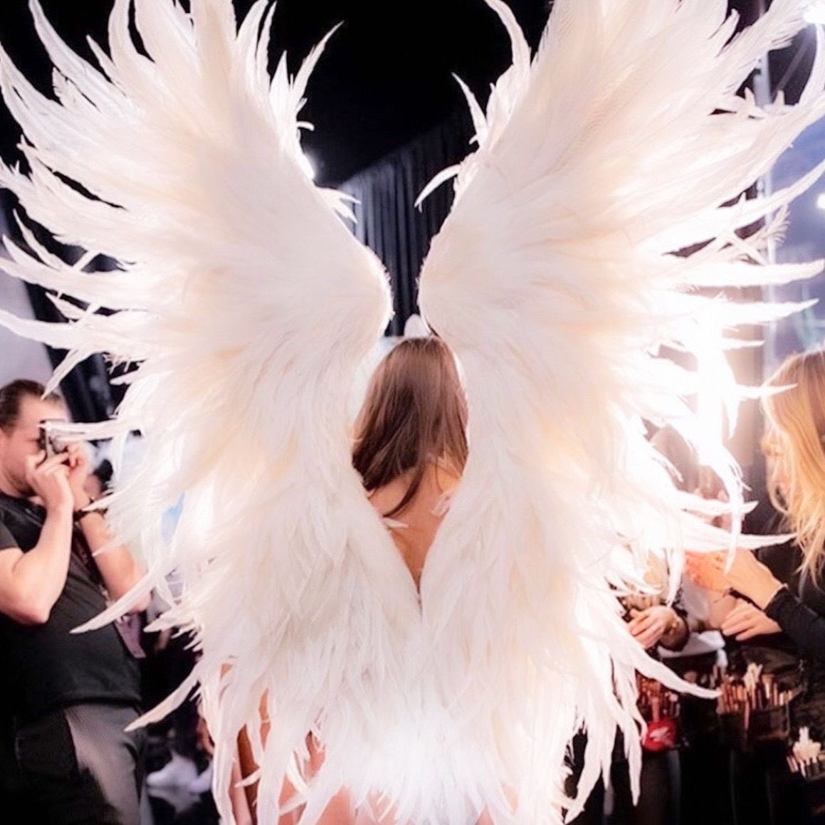 nori | interactive threads tweet media