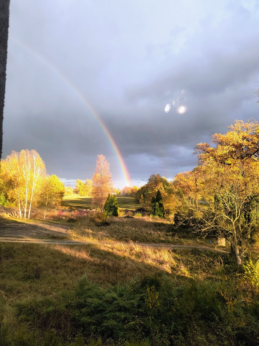 Gdzie jest Janusz Kowalski, gdy mnie tęcza atakuje