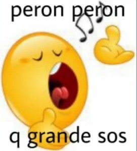 Vi el cielazo que hay cuando levanté la persiana y dije qué hermosa mañana peronista no? (en voz alta) (vivo solo)