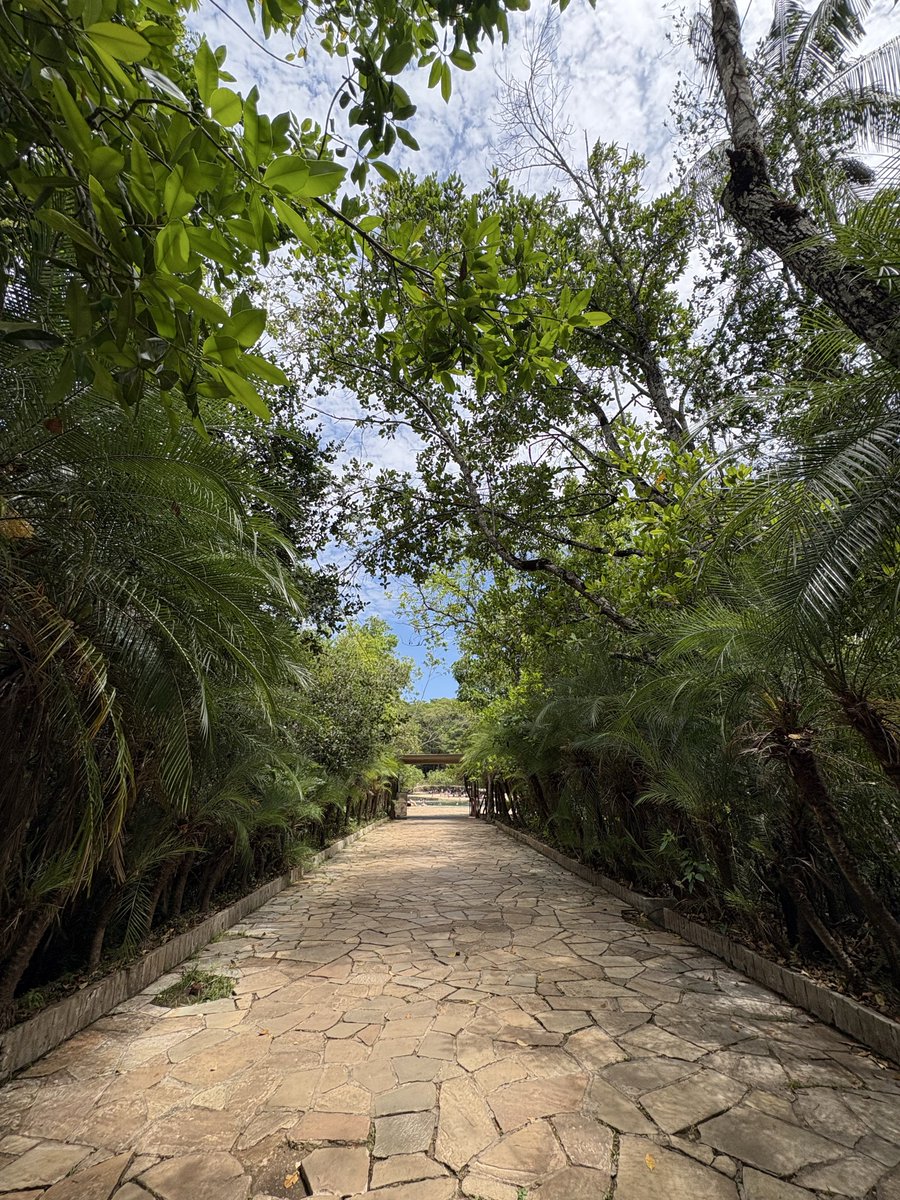 𝑃𝐴𝐵𝐿𝑂 𝑀𝑂𝑅𝐴𝐼𝑆 (@pablohmoraiis) on Twitter photo 