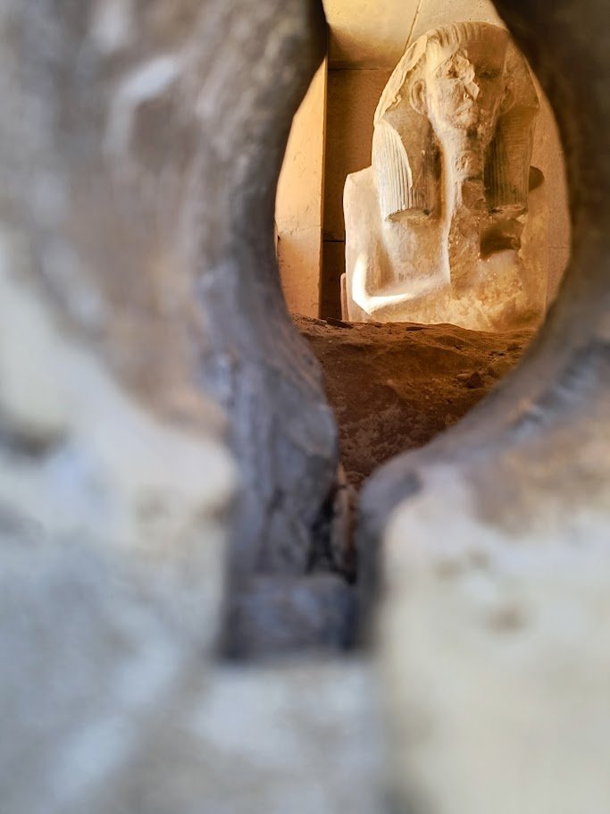 León Arsenal tweet media