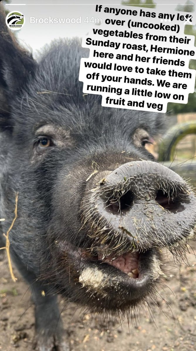 Brockswood where I volunteer needs help. We are running out of fruit &amp; veg. If anyone would like to do an online shop for just fruit &amp; veg &amp; get it sent to Brockswood it would be greatly appreciated. Address &amp; opening hrs on website brockswood.org.uk
Please 🙏