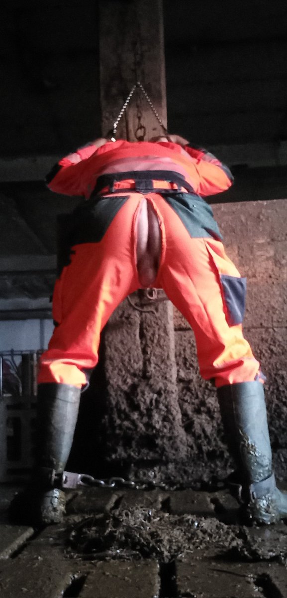 PuroHaix (@haixpuro) on Twitter photo 