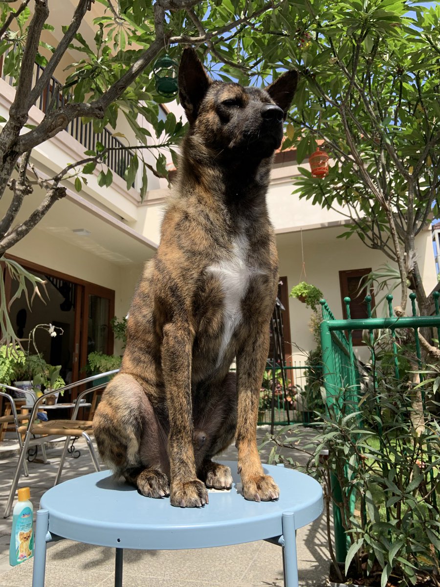 Bumi, 10 y.o, beard, clean cut and on PReP.