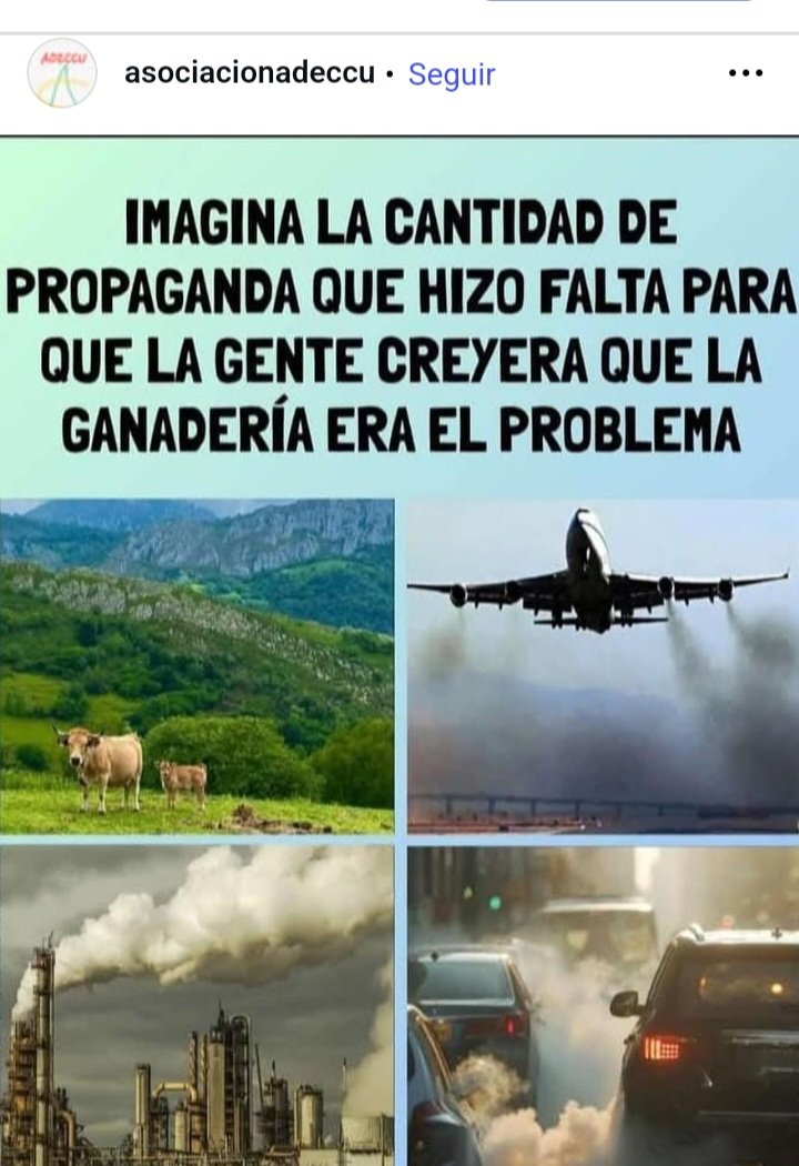 ADECCU (@pdcampocuenca) on Twitter photo 