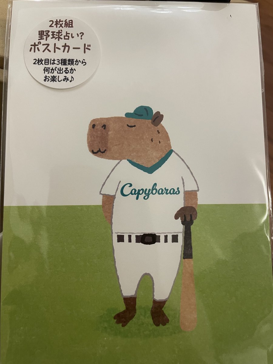 カピ バラ様ꕤ*.゜ 幸せな時間partⅡ #カピバラ #capybara #赤ちゃん #baby #幸せ