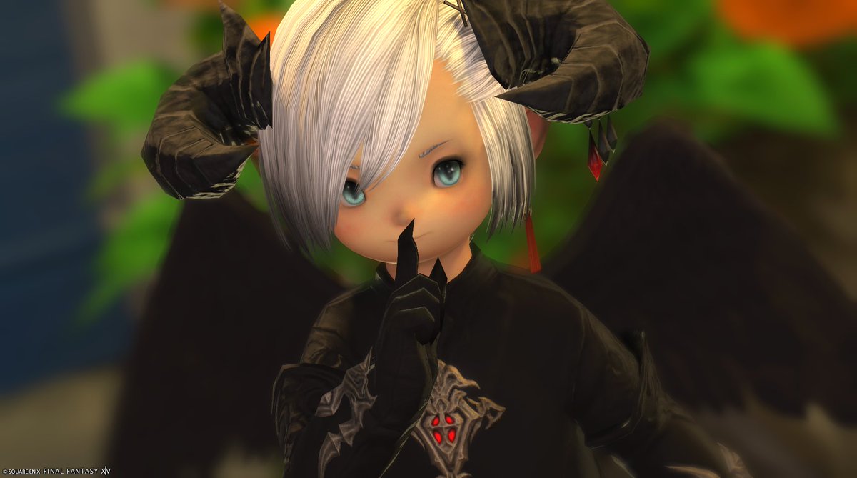 愛猫に毛布取られて寒いけど寝ます！

おやすみ〜🌙

#FF14