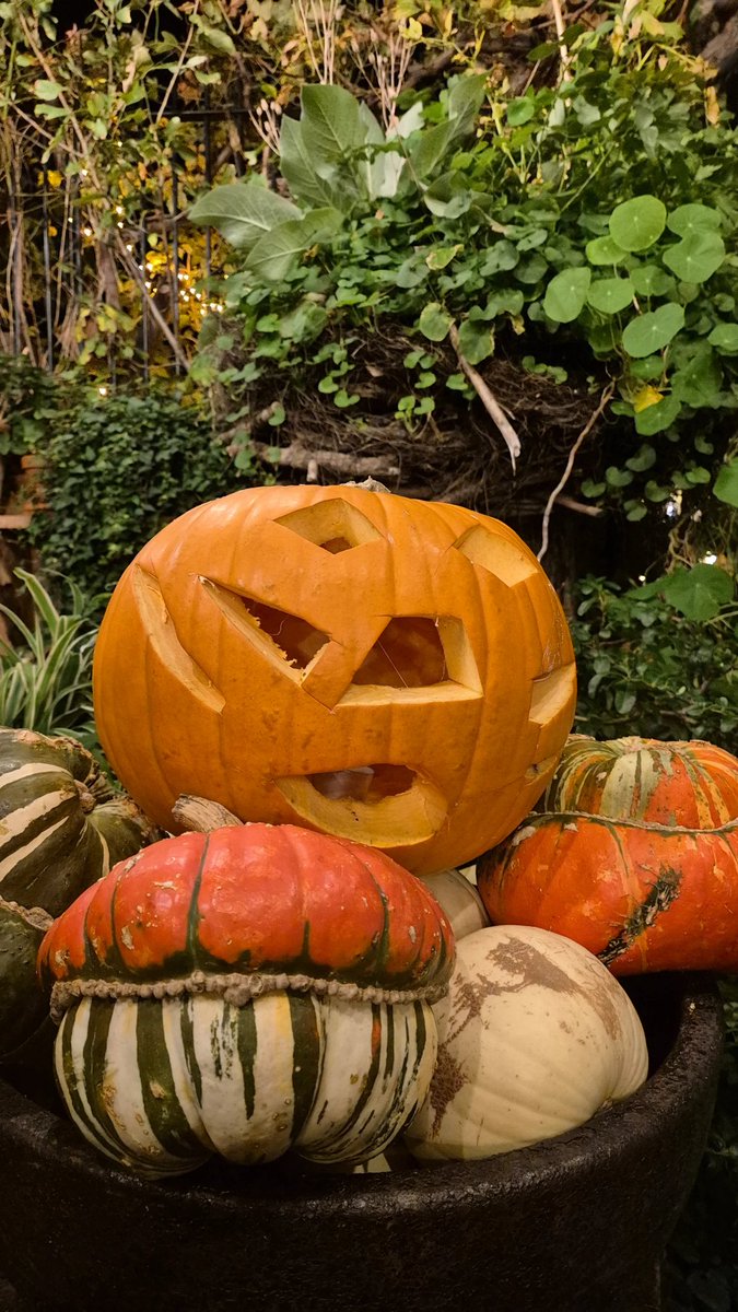 Evassential's tweet photo. October’s fading moon is calling—Halloween is almost here. Next week, the city comes alive as clubs, hotels, and hidden haunts turn into portals for every kind of thrill. Are you ready to trick… or be treated by the night?" 🎃✨ https://t.co/2dwsJDVkXn