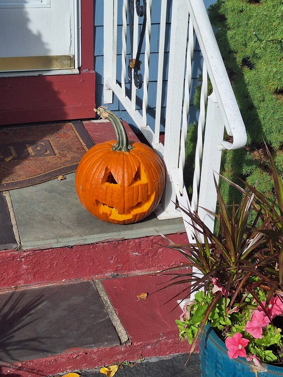 ken_medic's tweet photo. First Pumpkin in 10 years :3 https://t.co/U0y2R7fGqO