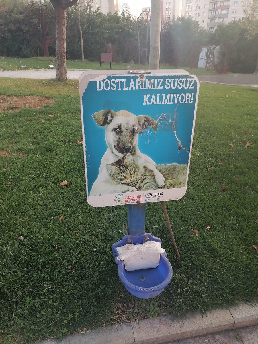 Sayın Başkan ve Kaymakam bey

Bölge 
Ataşehir
Cumhuriyet parkı

Kokudan geçilmiyor bu barakaları ne zaman kaldıracaksınız. Bezdik

Basibos kopekleri toplamak şöyle dursun, bakip beslemeye devam ediyorsunuz. 

#köpekleritoplayın
<a href="/atasehirbld/">Ataşehir Belediyesi</a>
<a href="/onursaladiguzel/">Onursal Adıgüzel</a>
<a href="/TC_Atasehir/">T.C. Ataşehir Kaymakamlığı</a>