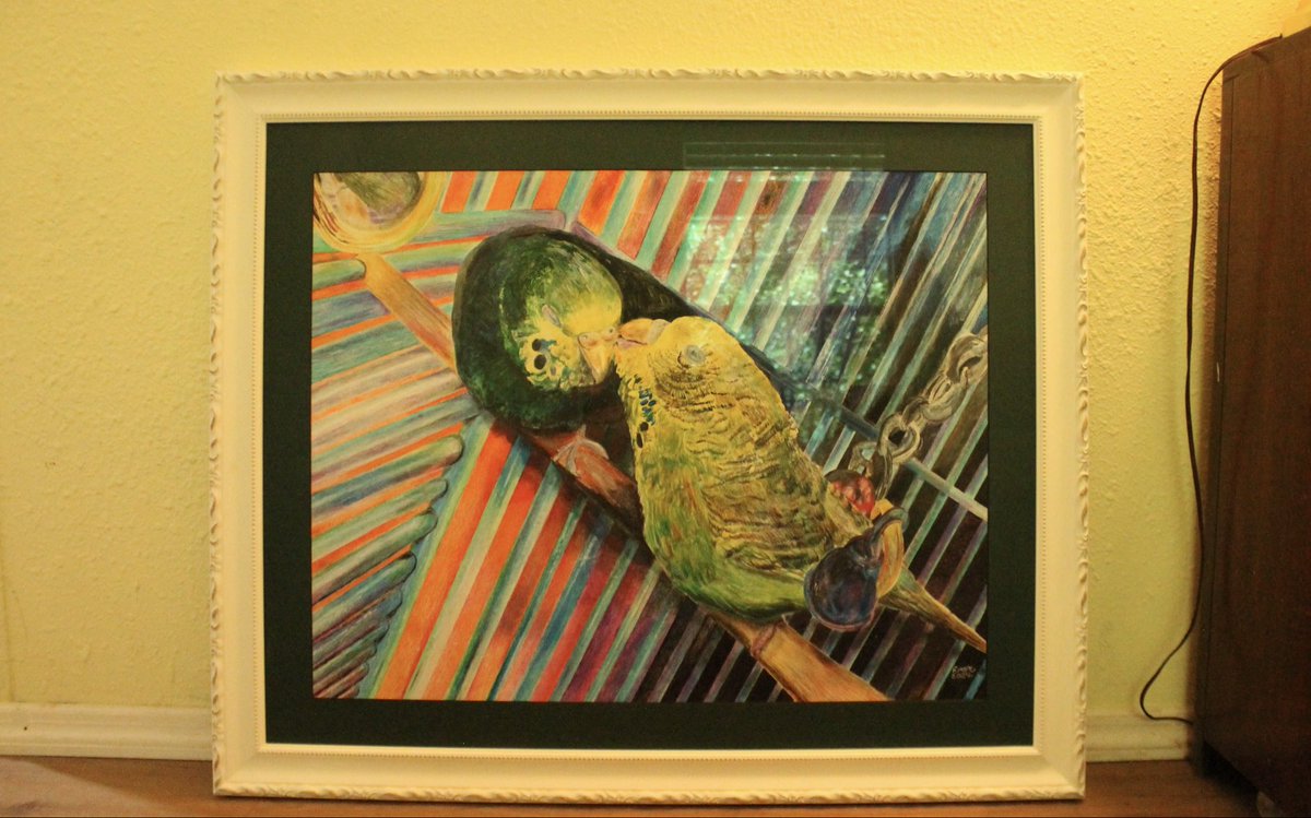 masterer's tweet photo. Budgie Affection https://t.co/9ksw9nDO8J