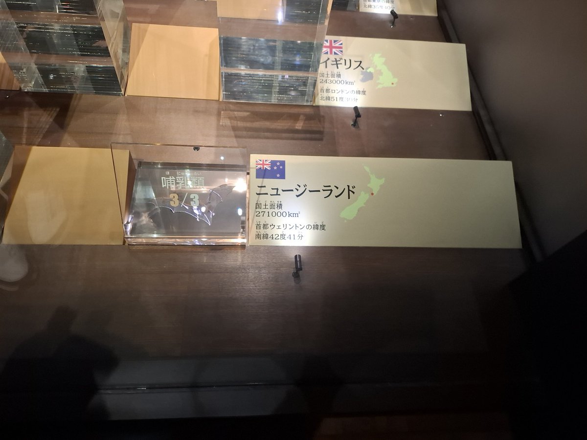 readasNatsu's tweet photo. 科博行ったら知ってる鳥がいた😸 https://t.co/fJD2R4OFoX