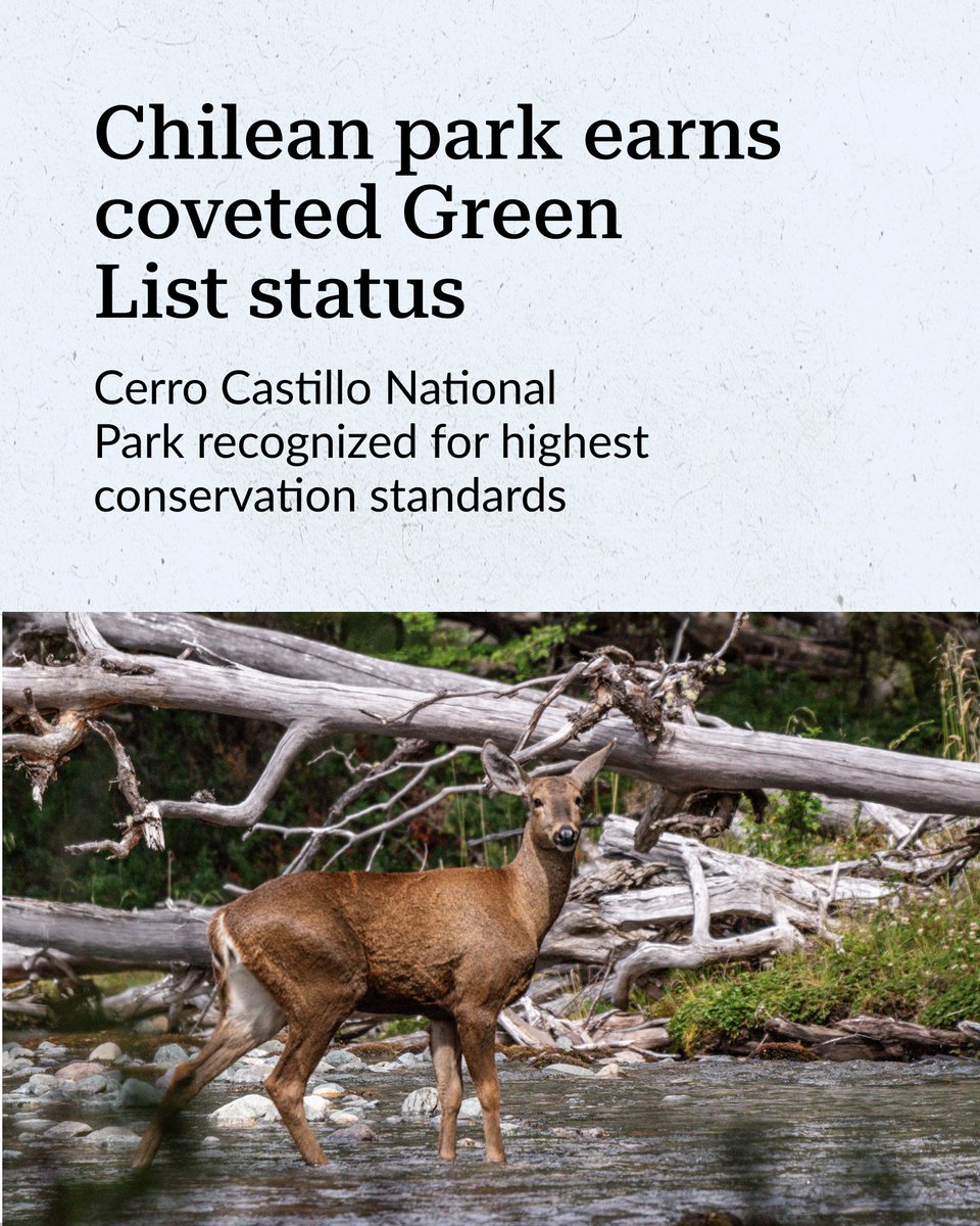 Good conservation news: In September, Chile’s Cerro Castillo National Park joined the <a href="/IUCN/">IUCN</a> Green List, a global standard in conservation.

This certifies the deserved protection of the region’s wildlife, history, and economic value.  📸Mylton Jiménez pewtrsts.org/3WYE3Eg