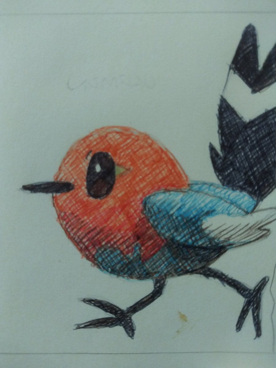 ChrisChrislt83's tweet image. FLETCHLING🐦 @Pokemon @pokenatgeo #Fletchling #Pokemon