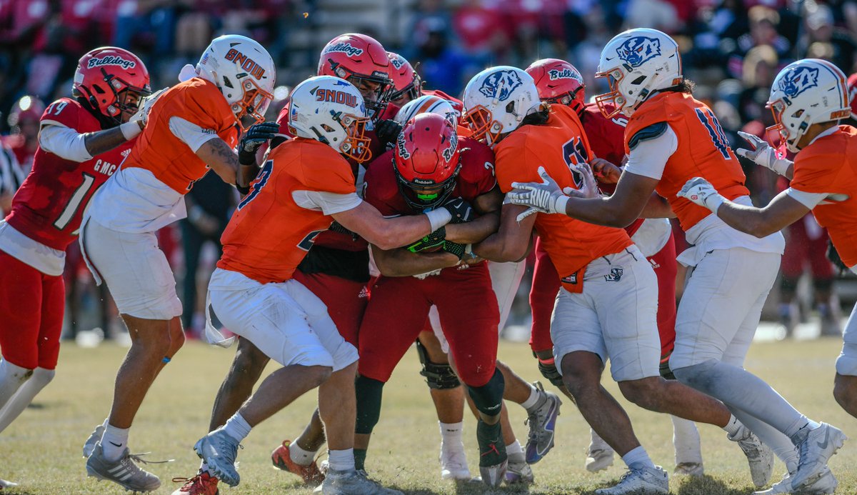 Logan Cook tweet media