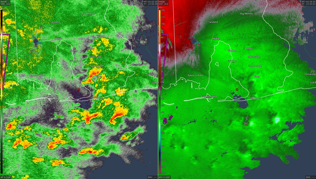 Quite the look to the southeast of Mobile, AL.  Large number of seemingly robust supercells all drifting northward towards the coast.  Some of the more developed ones may pose a tornado threat in the near-mid term as they come ashore.