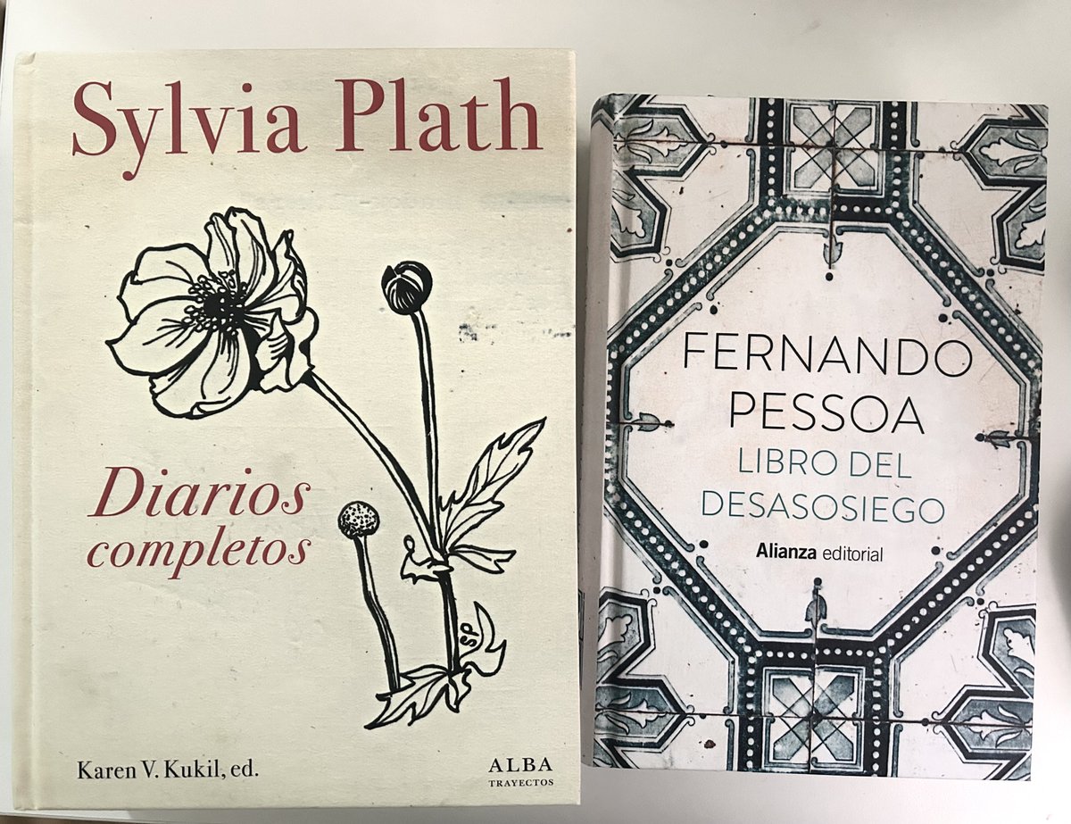 ninasfile's tweet photo. bought these two books today 
sylvia plath’s complete diaries + the book of disquiet by pessoa https://t.co/4ElX2Bamt7