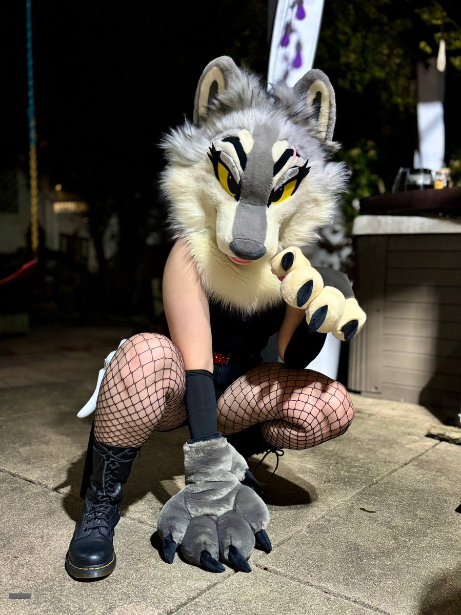 💖 On the prowl 😏😘