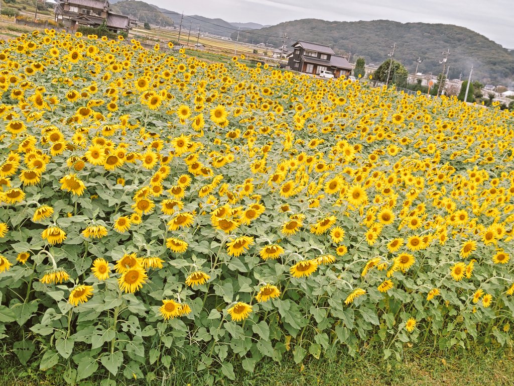 かずちゃん on X