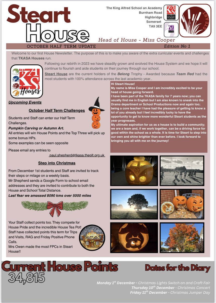 Our First <a href="/_TKASA/">The King Alfred School an Academy</a> House Newsletters