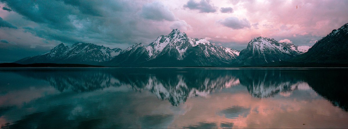 Nevin Johnson tweet media