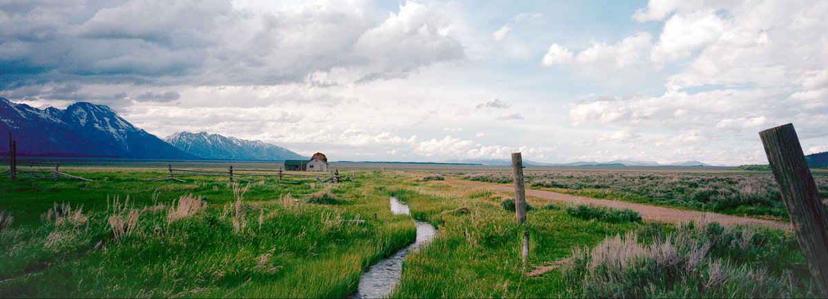 Nevin Johnson tweet media