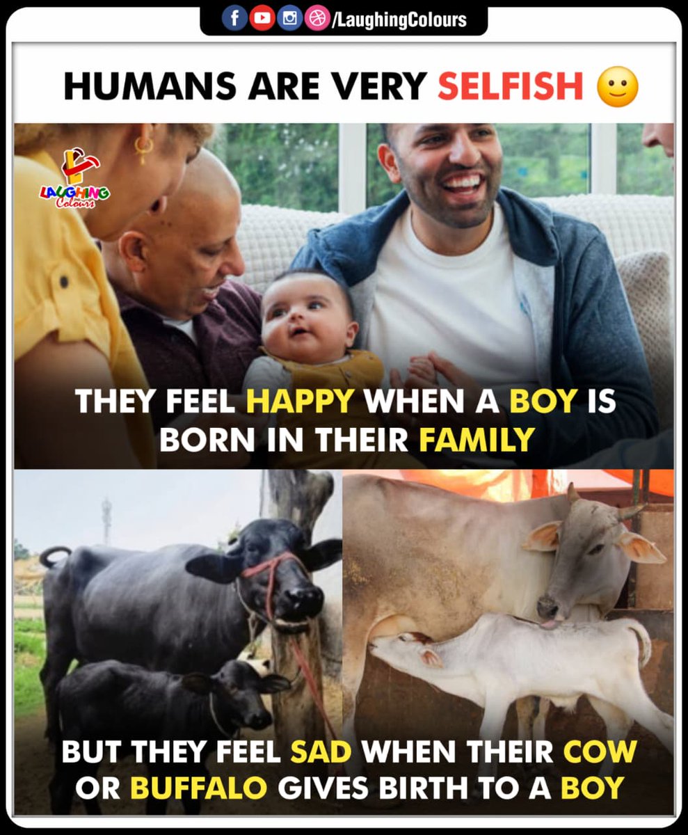 LaughingColours's tweet image. Humans are very selfish 😔
#SocialCommentary #GenderBias #Cattle #Relatable #Selfishness #HumanNature