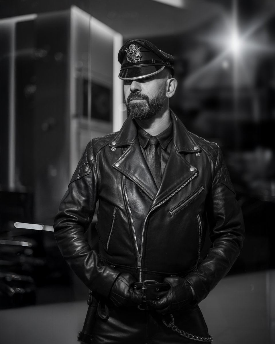 THE MAYFAIR COLLECTION 3