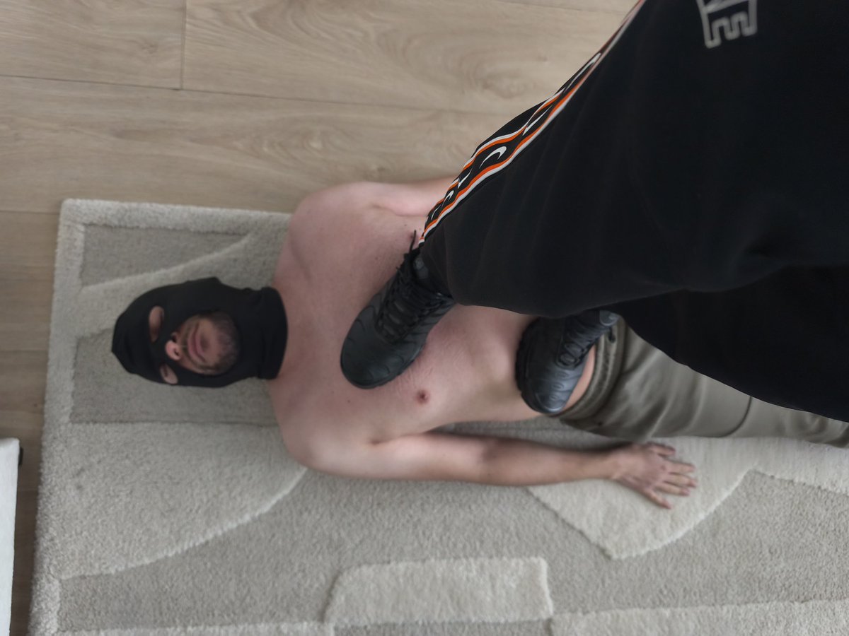 TrampleDom tweet media