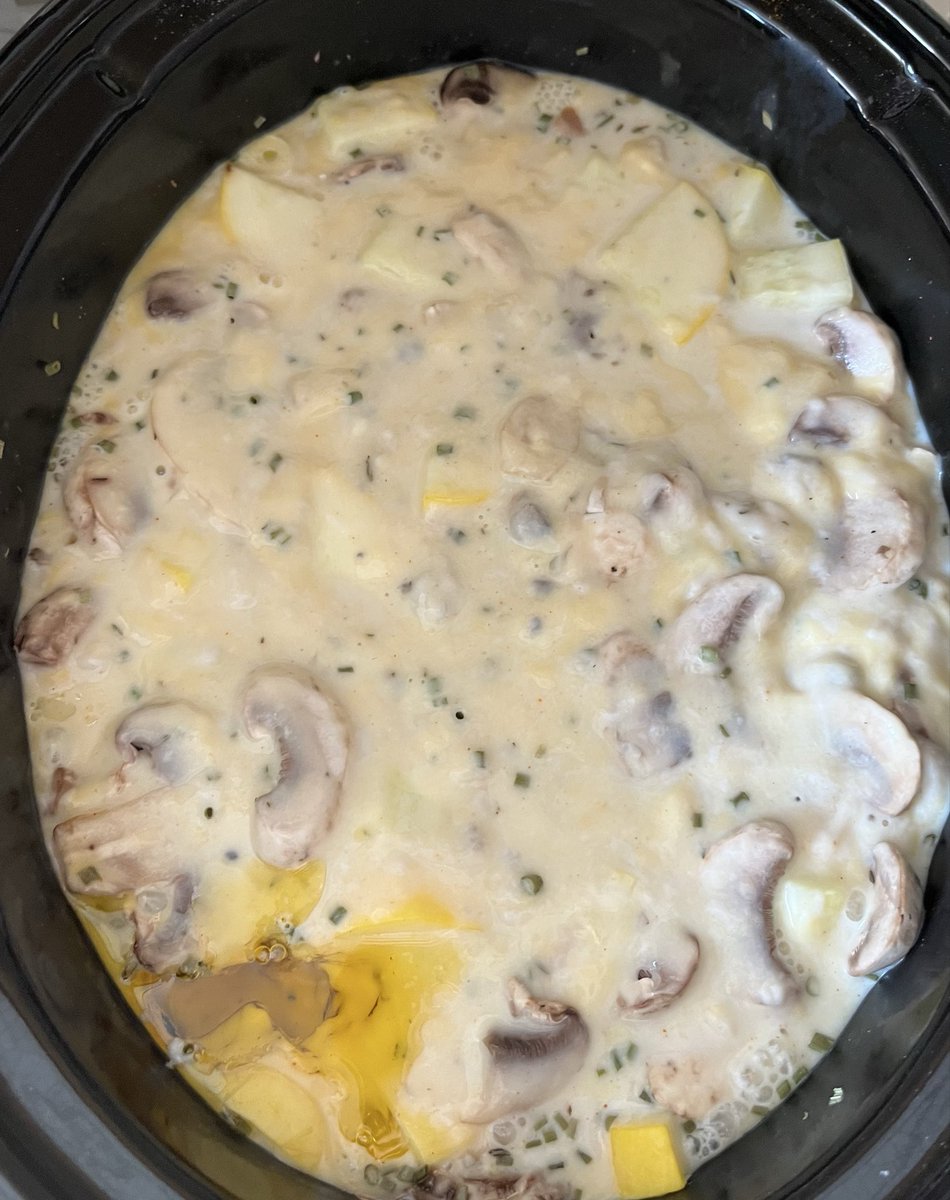 bigcatwhodey513's tweet image. Got creative.. Bone-in chicken thighs, fresh mushrooms, squash, garlic, chives, and thyme. 1/2 cream of mushroom 1/2 cream of chicken 1/2 whole milk 1/2 water. Salt, cayenne, and butter.