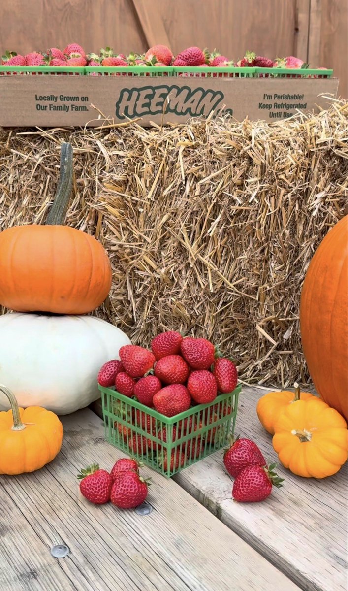 Heeman's tweet media