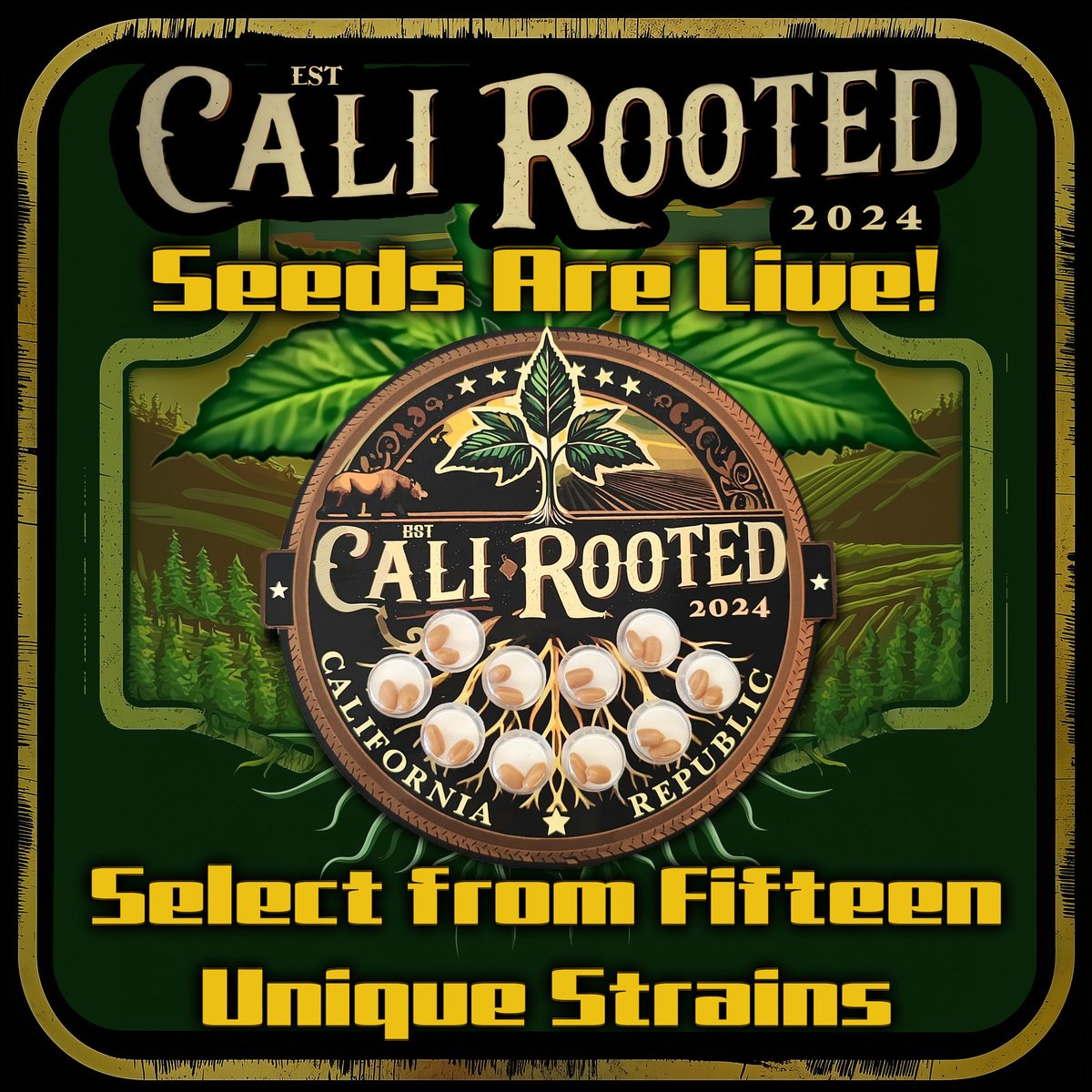 JKDistroCa's tweet image. 🌱 CaliRooted seeds are LIVE! 🌱
15 unique strains just dropped — explore the newest genetics and grow with us 🌿✨
Use code JKSPOOKY15 for 15% OFF (excl. bulk &amp;amp; sale items)

calirooted.com

#CaliRooted #SeedsAreLive #SeedDrop #GrowYourOwn #HempSeeds #JKDistro