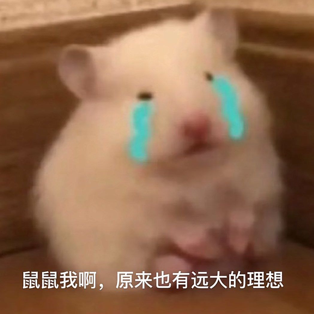 crypto_xpotato's tweet image. To form the strongest rat charging army in the Chinese area.
为组建华人区最强鼠鼠冲推军团。

#鼠鼠我啊 I have decided to airdrop now.
#鼠鼠我啊， 决定进行空投运动。

Break up the chips and distribute them all to the rat army, and welcome the rats to go home and build.…