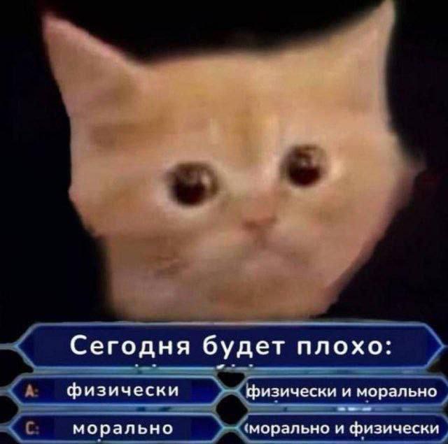 catsilcats's tweet photo. с понедельником https://t.co/zEzcWlk58y