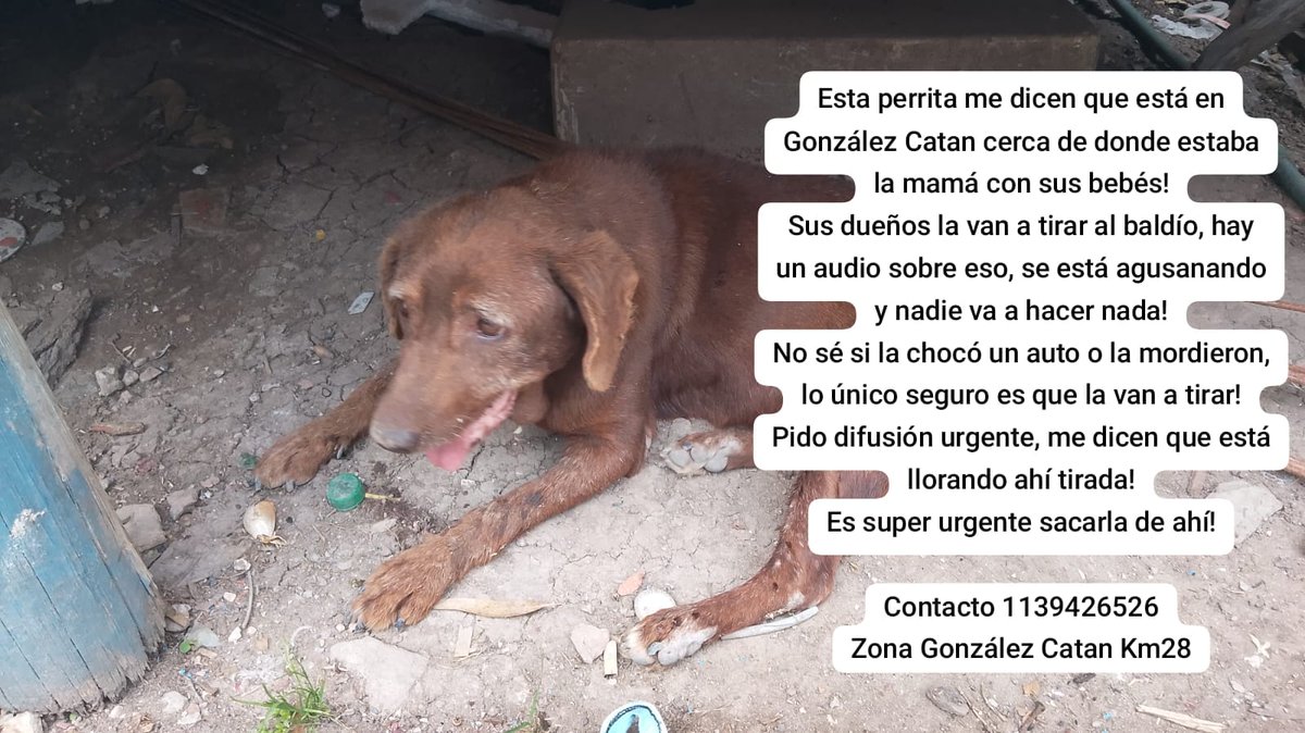 Rt
Ayuda urgente