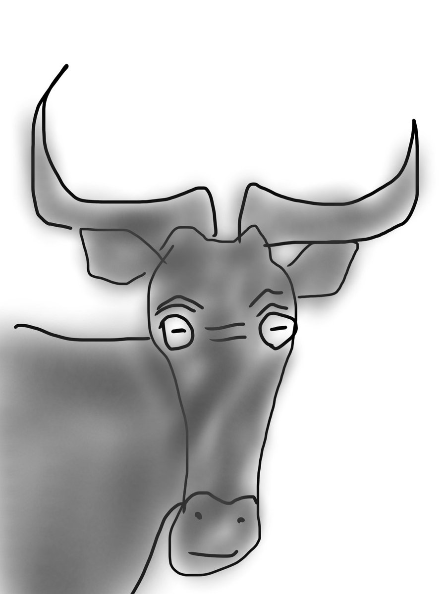 3日目
2日目はこあら