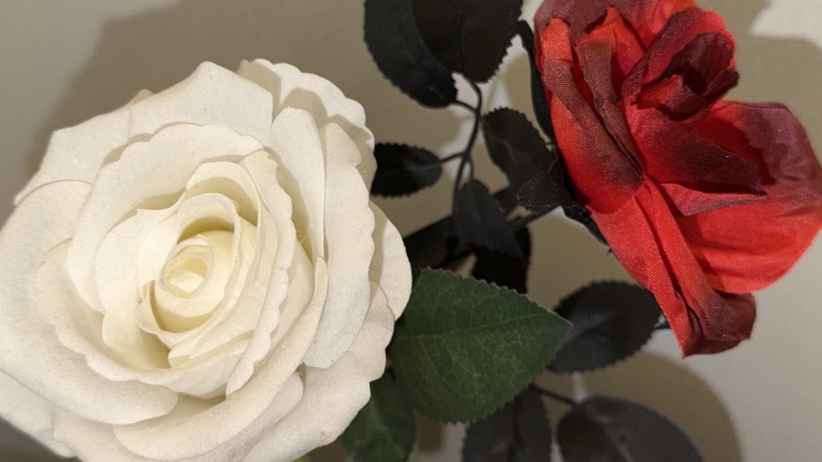 이번에도 빨간장미 챙겨주시고
너무 로맨틱하시다예 .. <3