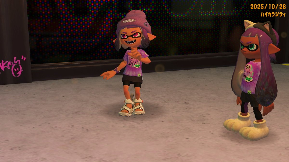 こたつねこ tweet media